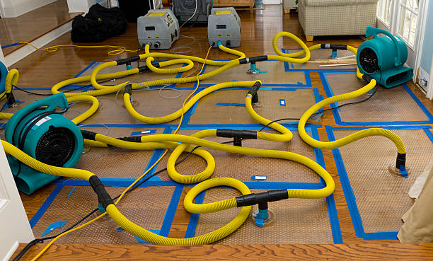 Professional Water Extraction technician working in Fountain, MN